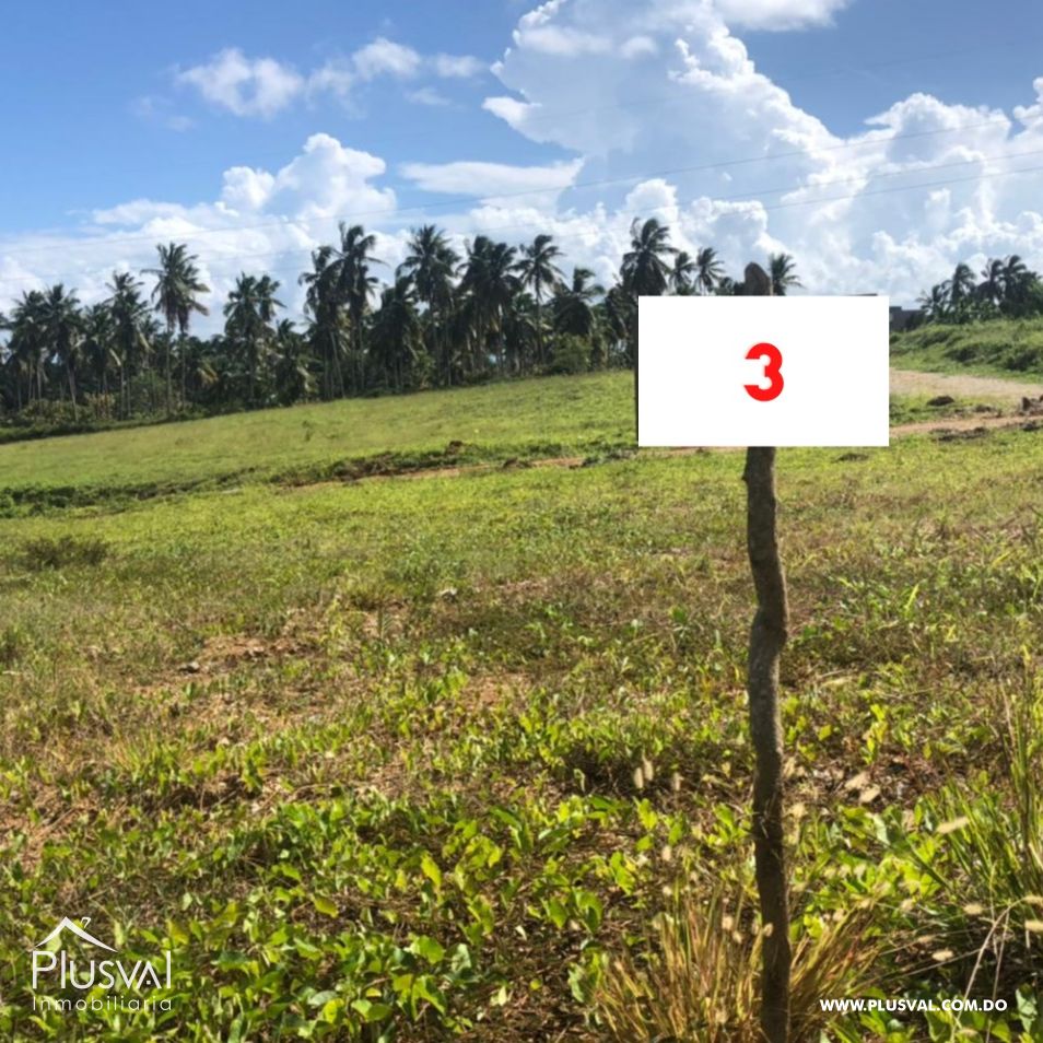 Venta de solares en Sánchez 239381
