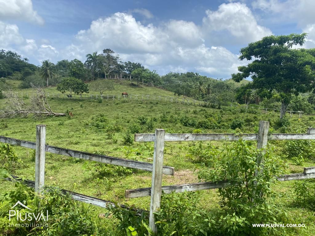 Finca en venta en Las Terrenas, inversión ideal en el paraíso 450781