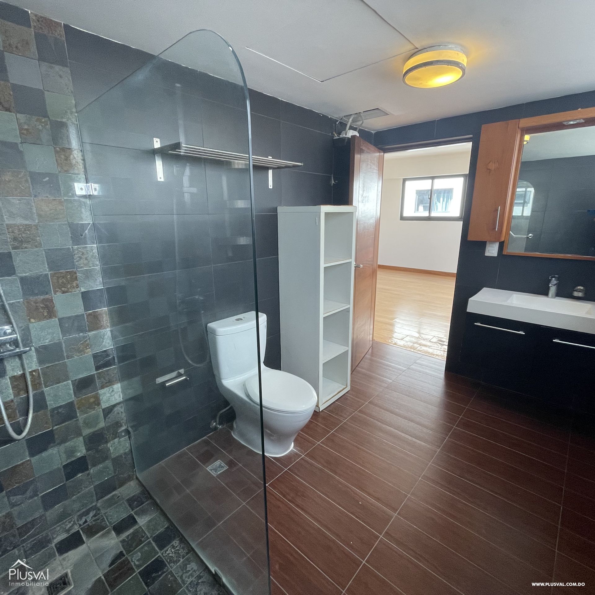 Penthouse de 2 habitaciones en el Naco 312852