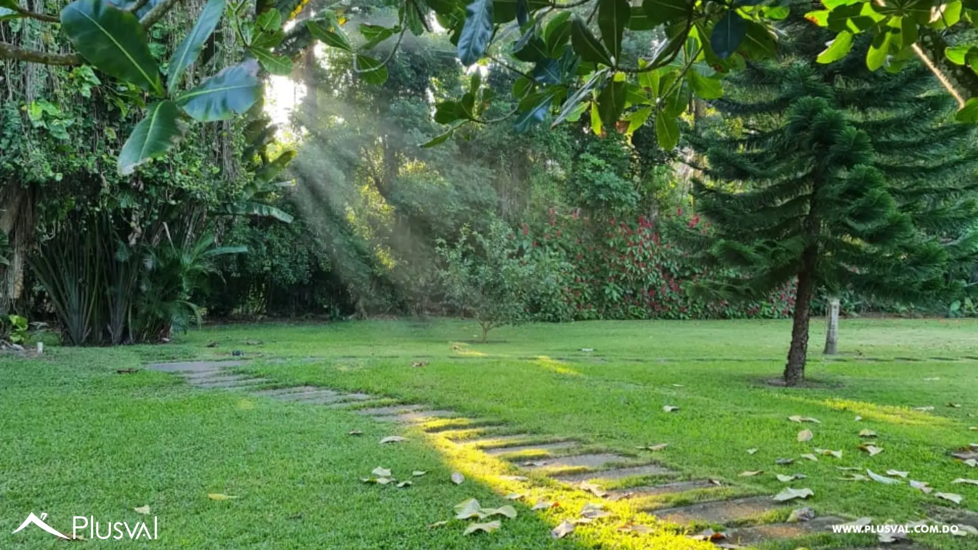 Lote Inversión 25,000 m² - Jarabacoa - Ideal Desarrollo/Lotificación 483793