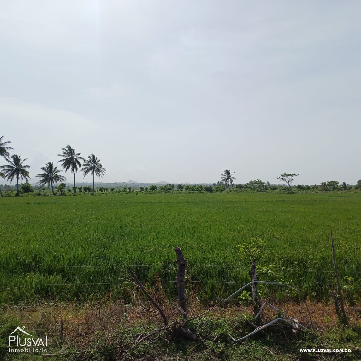 Gran terreno en venta ideal para desarrollo inmobiliario en Nisibon 366424