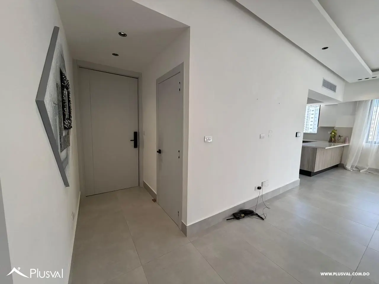 Alquiler en Naco 492548