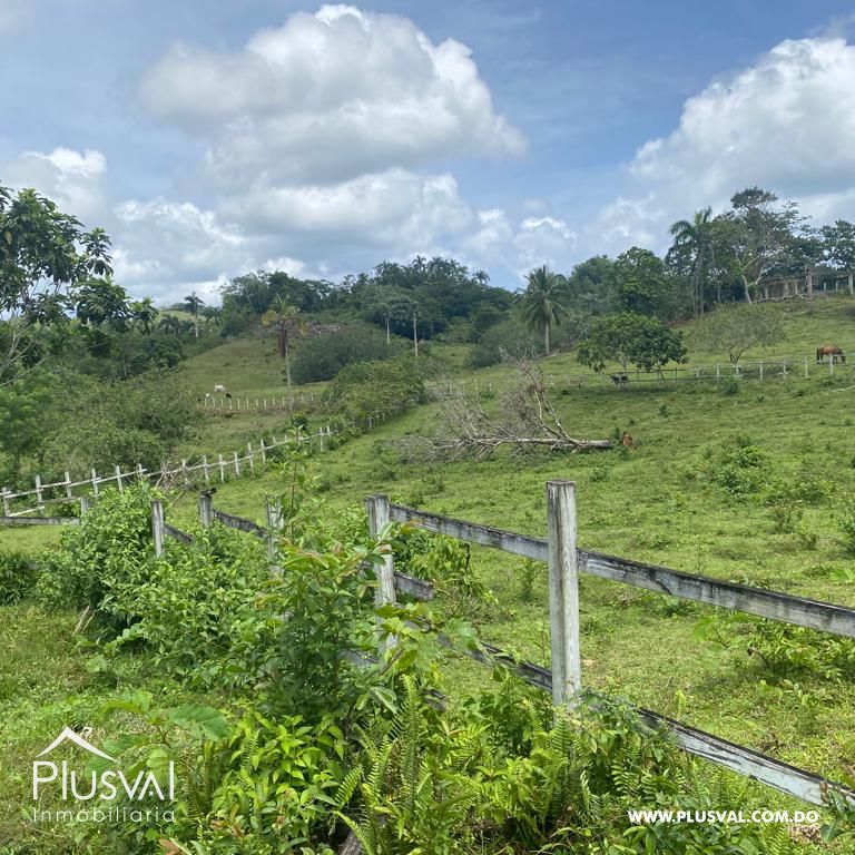 Terreno en Venta en Las Terrenas - Samaná | 190,930 m² Naturaleza y Altitud 313398