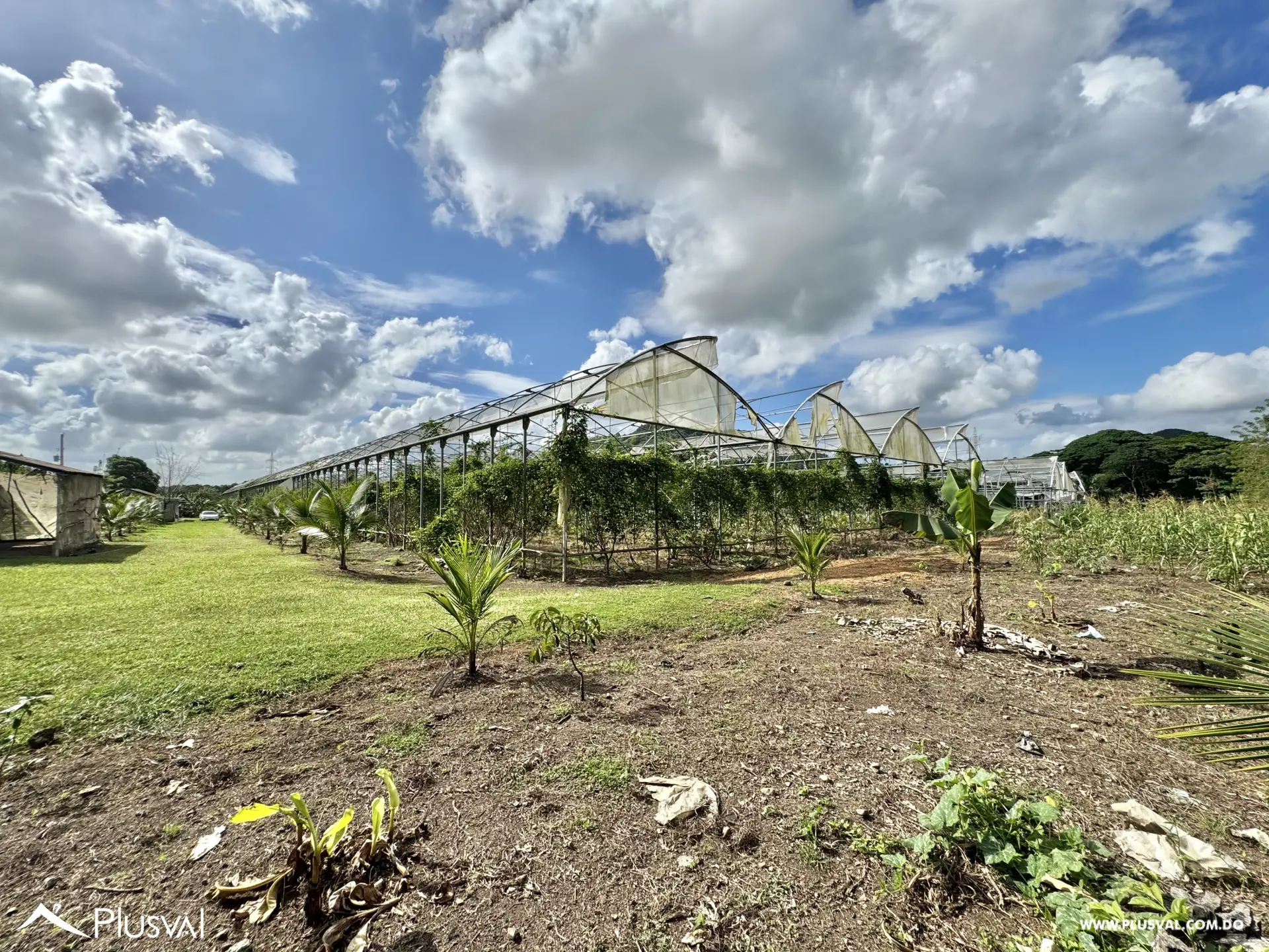Vendo Maravillosa Finca con Importantes Mejoras en Pedro barnd 479771