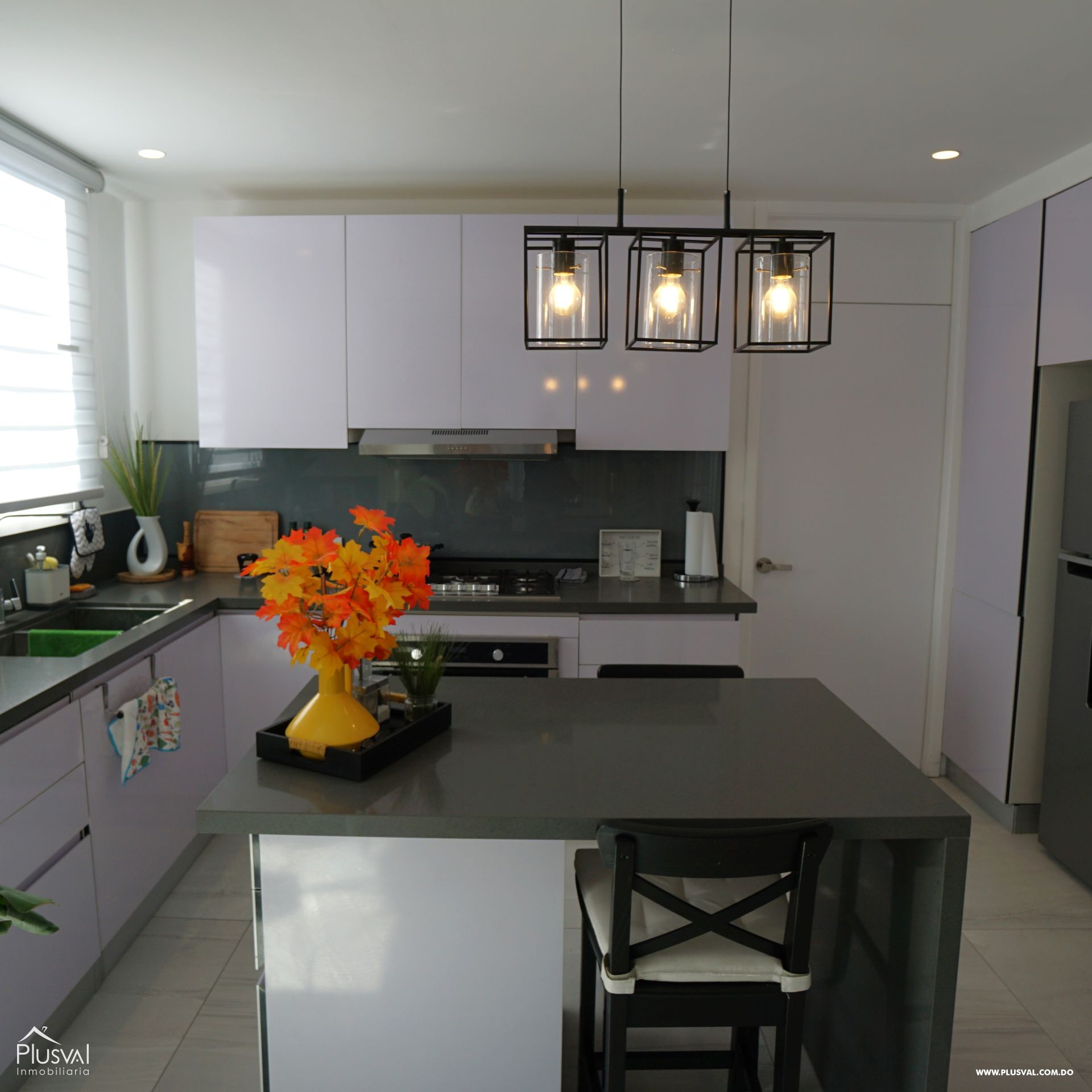 Apartamento en venta en Evaristo Morales 470528