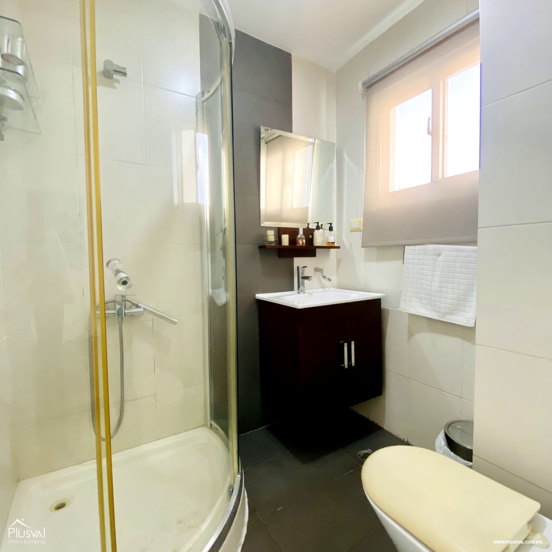 Apartamento en alquiler Totalmente Amueblado en Evaristo Morales 179451