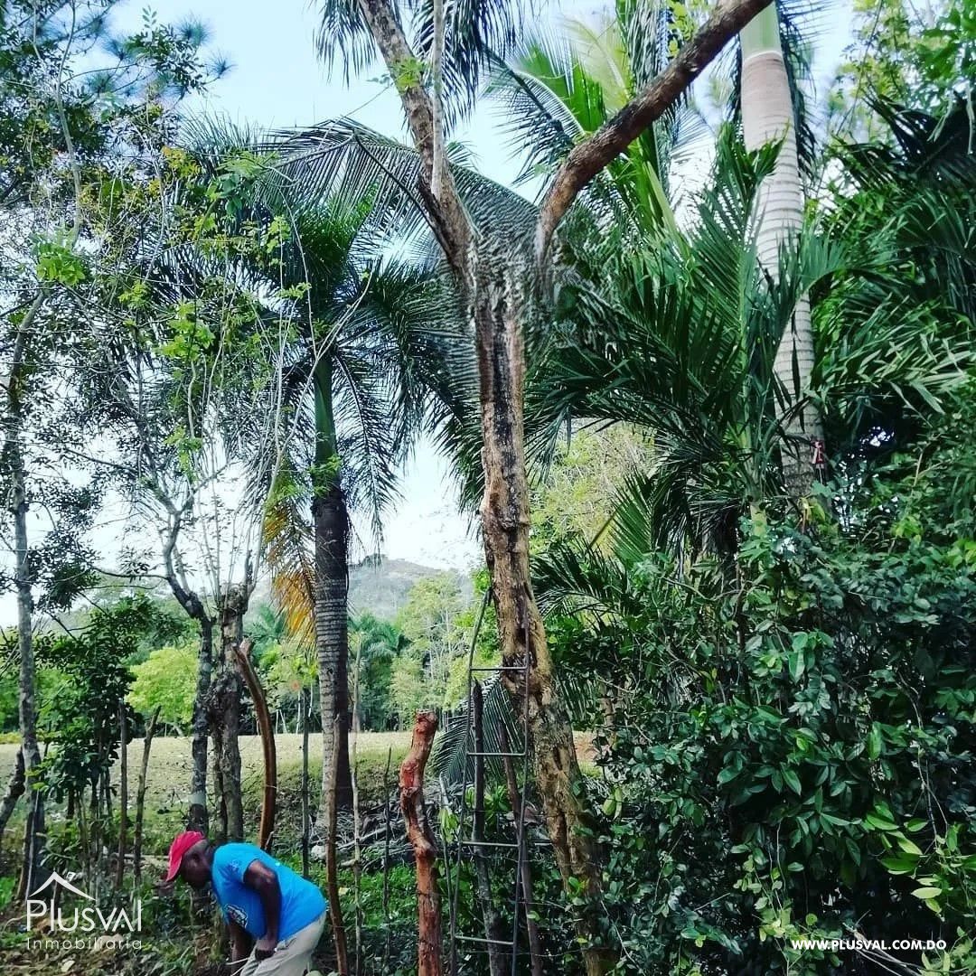 Finca en venta en Hoyo Oscuro de Sierra Prieta 378233