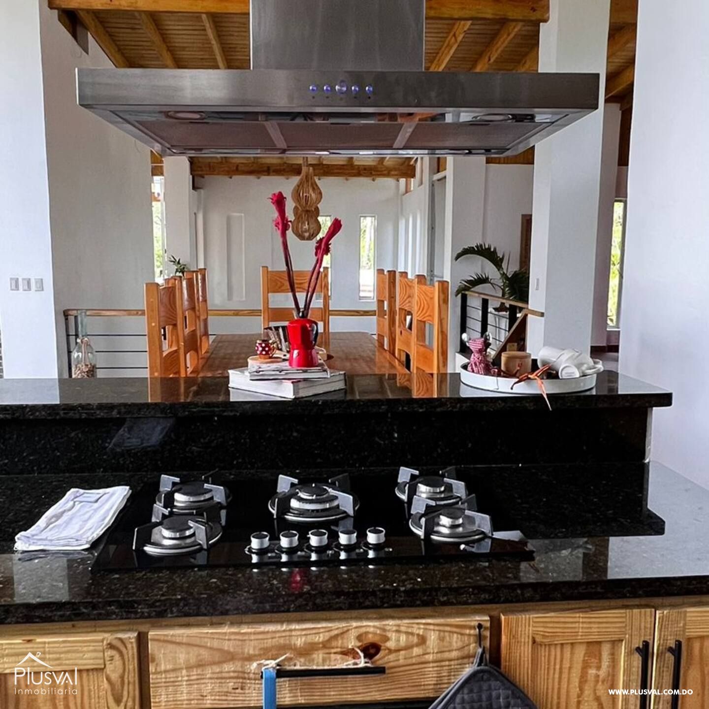 Villa en Jarabacoa 431502