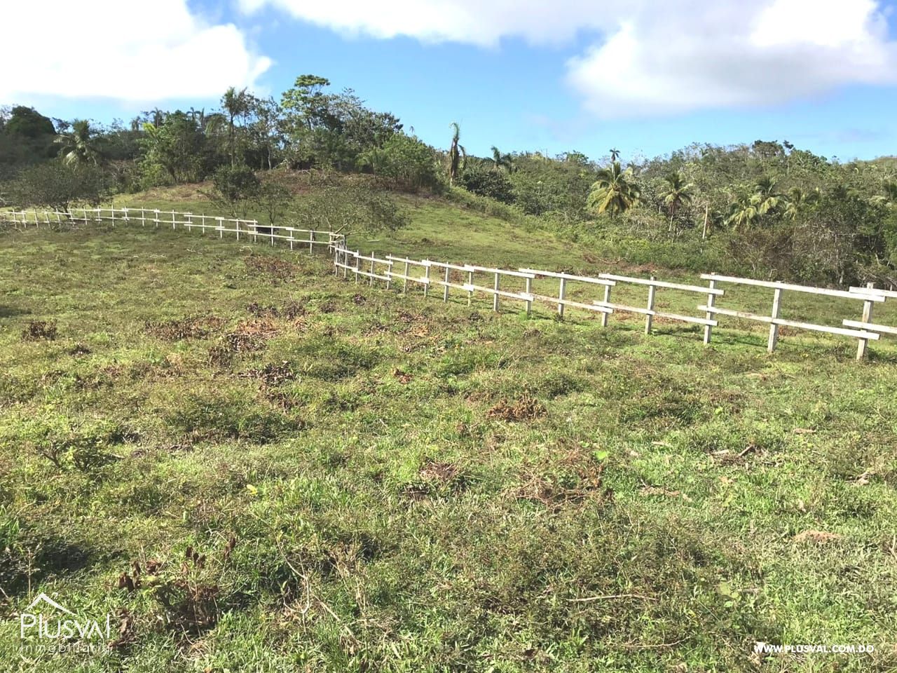 Finca en venta en Las Terrenas, inversión ideal en el paraíso 450782