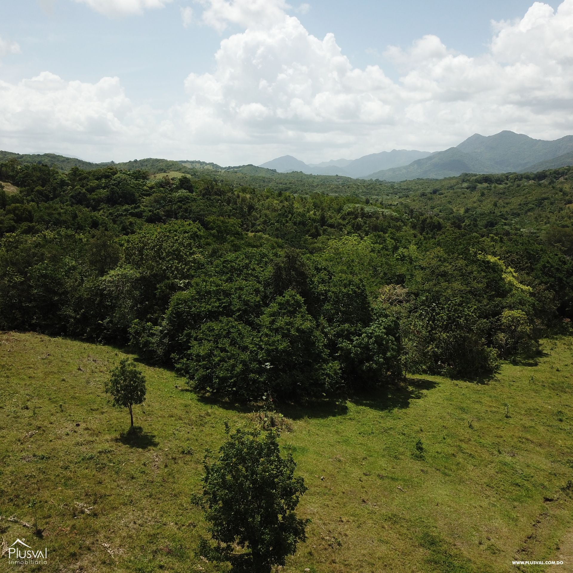 Exclusivo Lote en Pedro Brand 227895