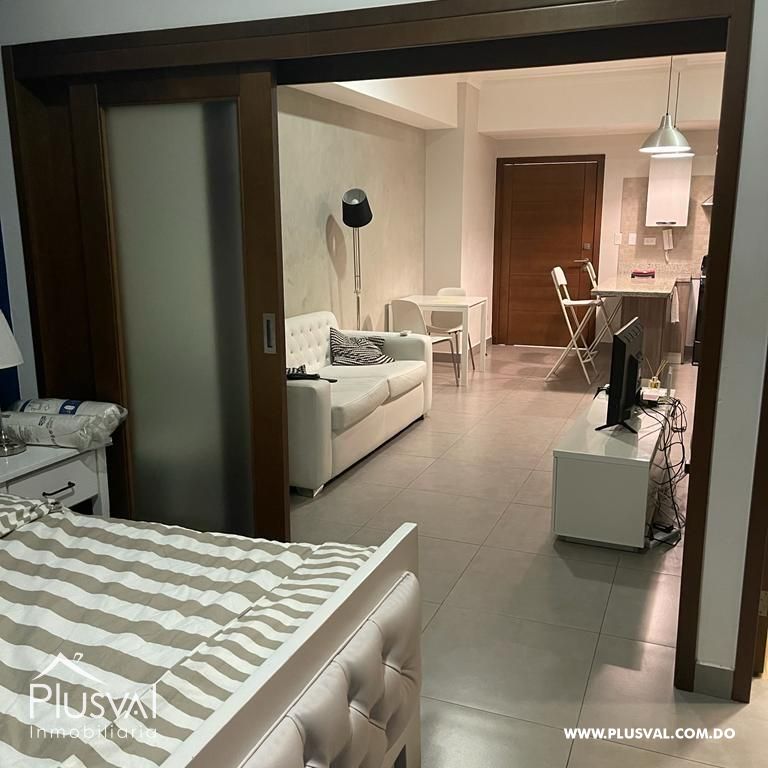 Apartamento amueblado y alquilado de una habitación, en venta en Serrallés 384569