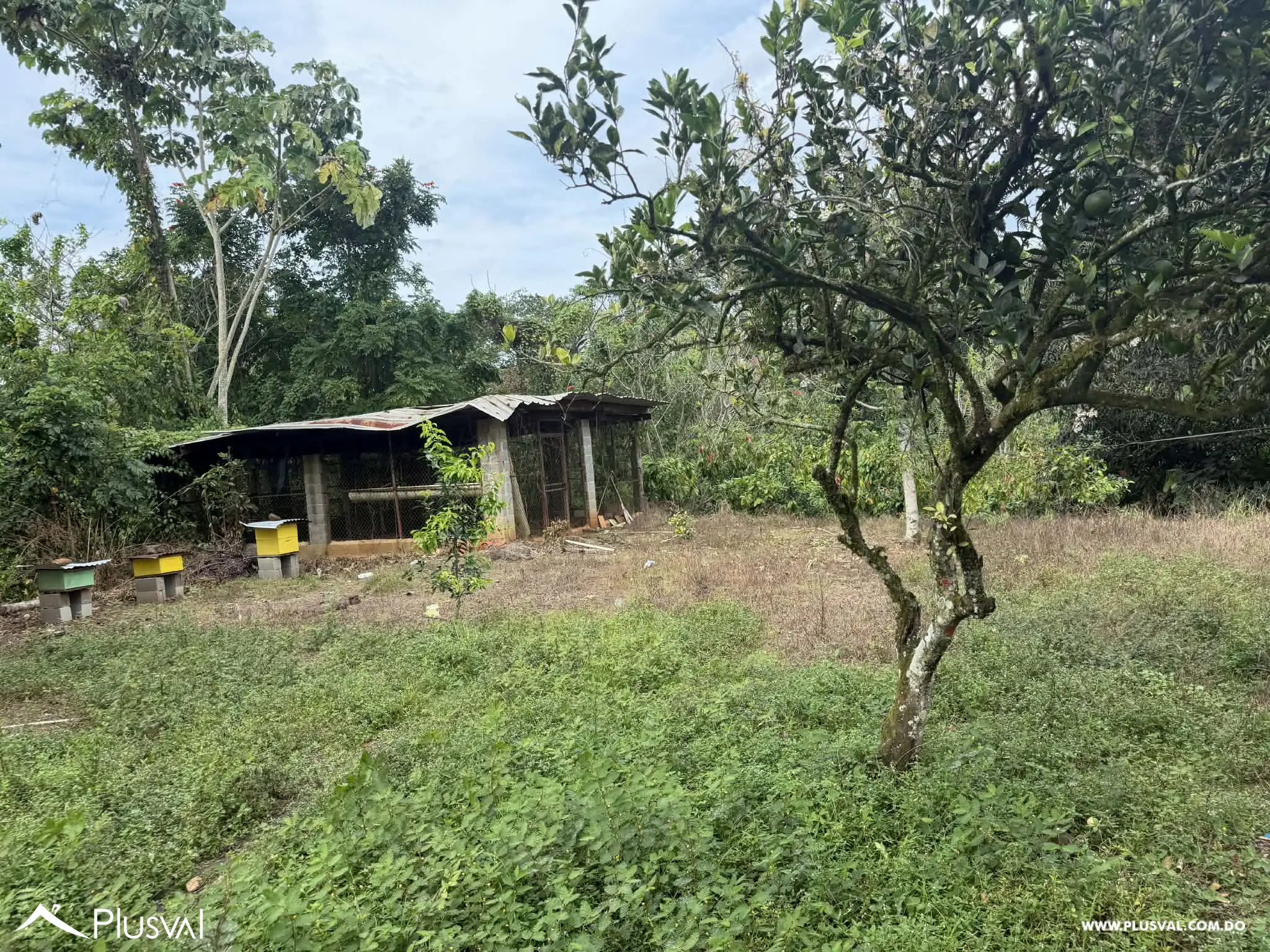 Hermosa Finca en Bonao en venta 496744