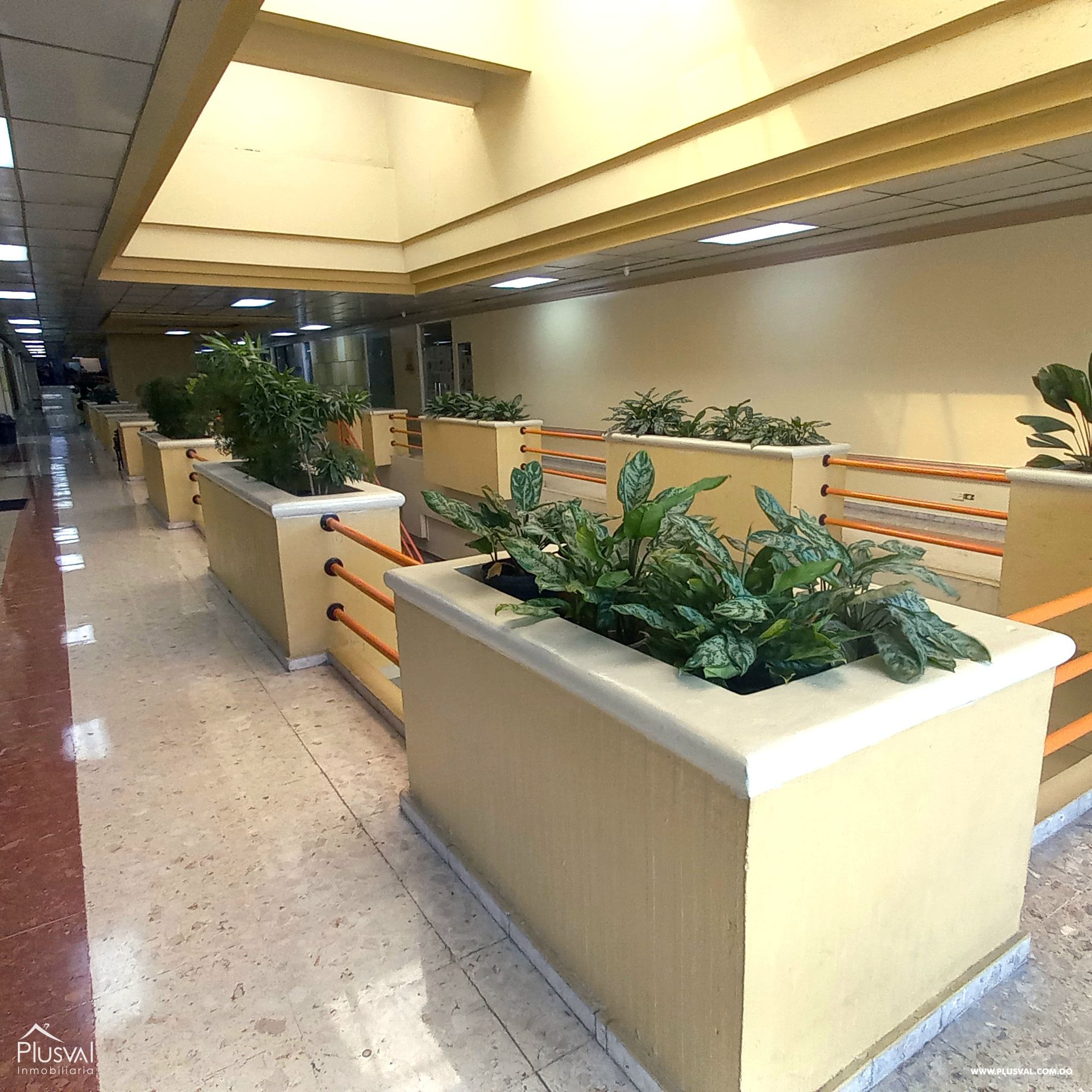 Local para oficina en venta en Unicentro Plaza 230777