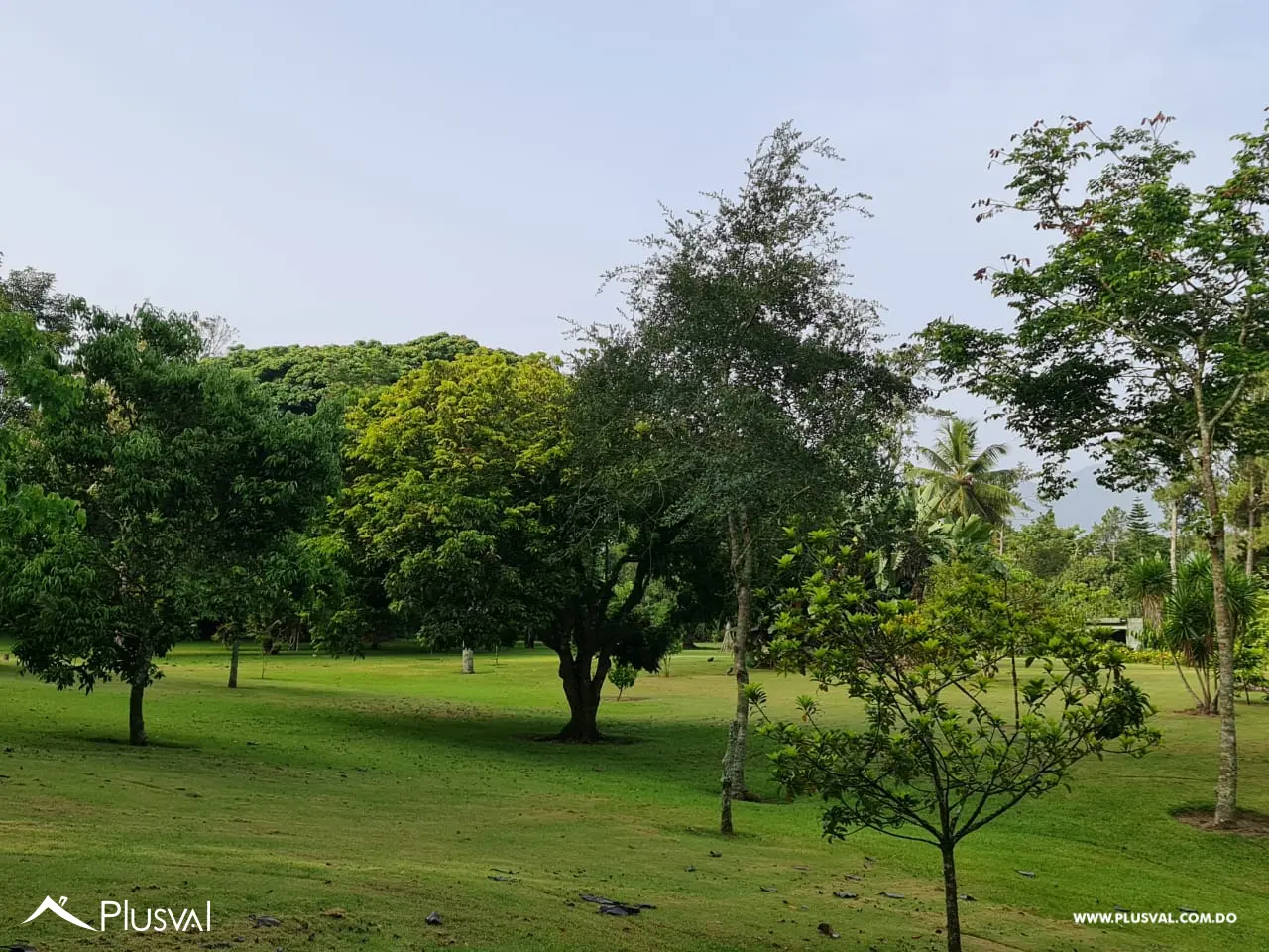 Lote Inversión 25,000 m² - Jarabacoa - Ideal Desarrollo/Lotificación 483785