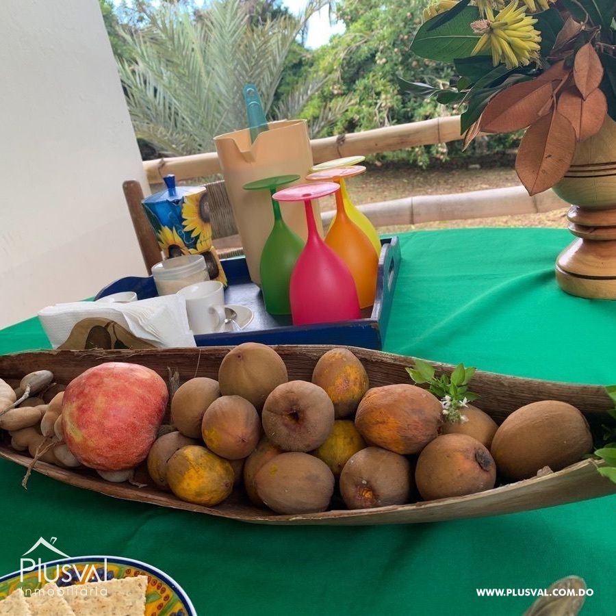Finca de frutales en Yaguate, San Cristóbal 397854