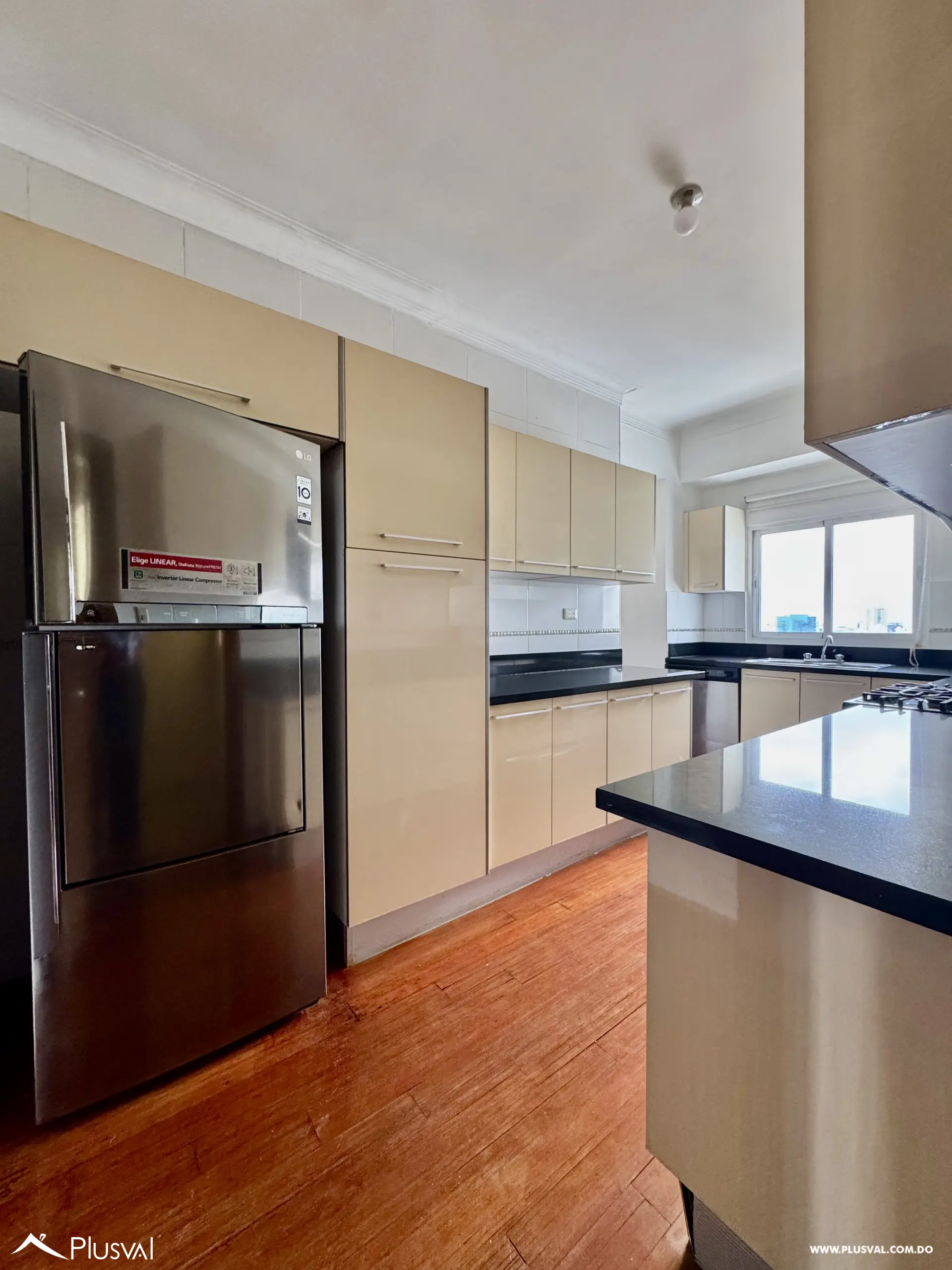 Vendo Amplio y Maravilloso Apartamento PH,  en una de las Zonas mas Exclusivas de La Esperilla 490635