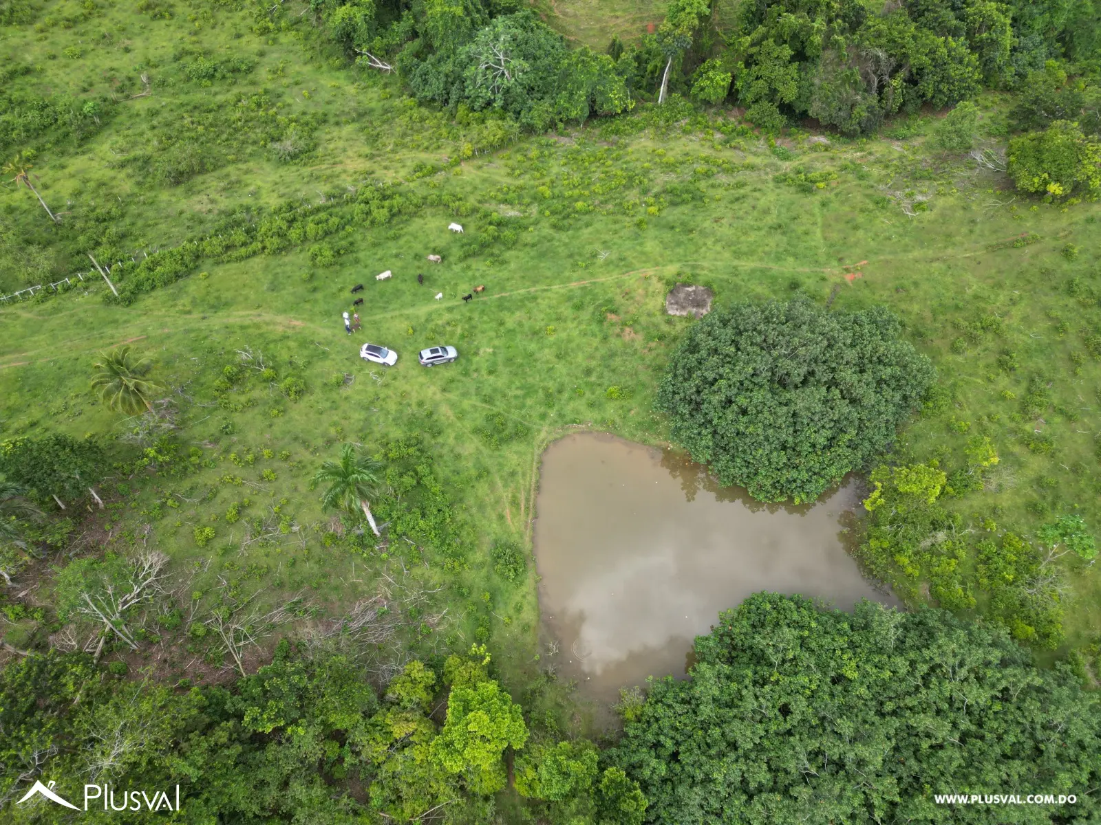 Terreno en Venta en Las Terrenas - Samaná | 190,930 m² Naturaleza y Altitud 463375
