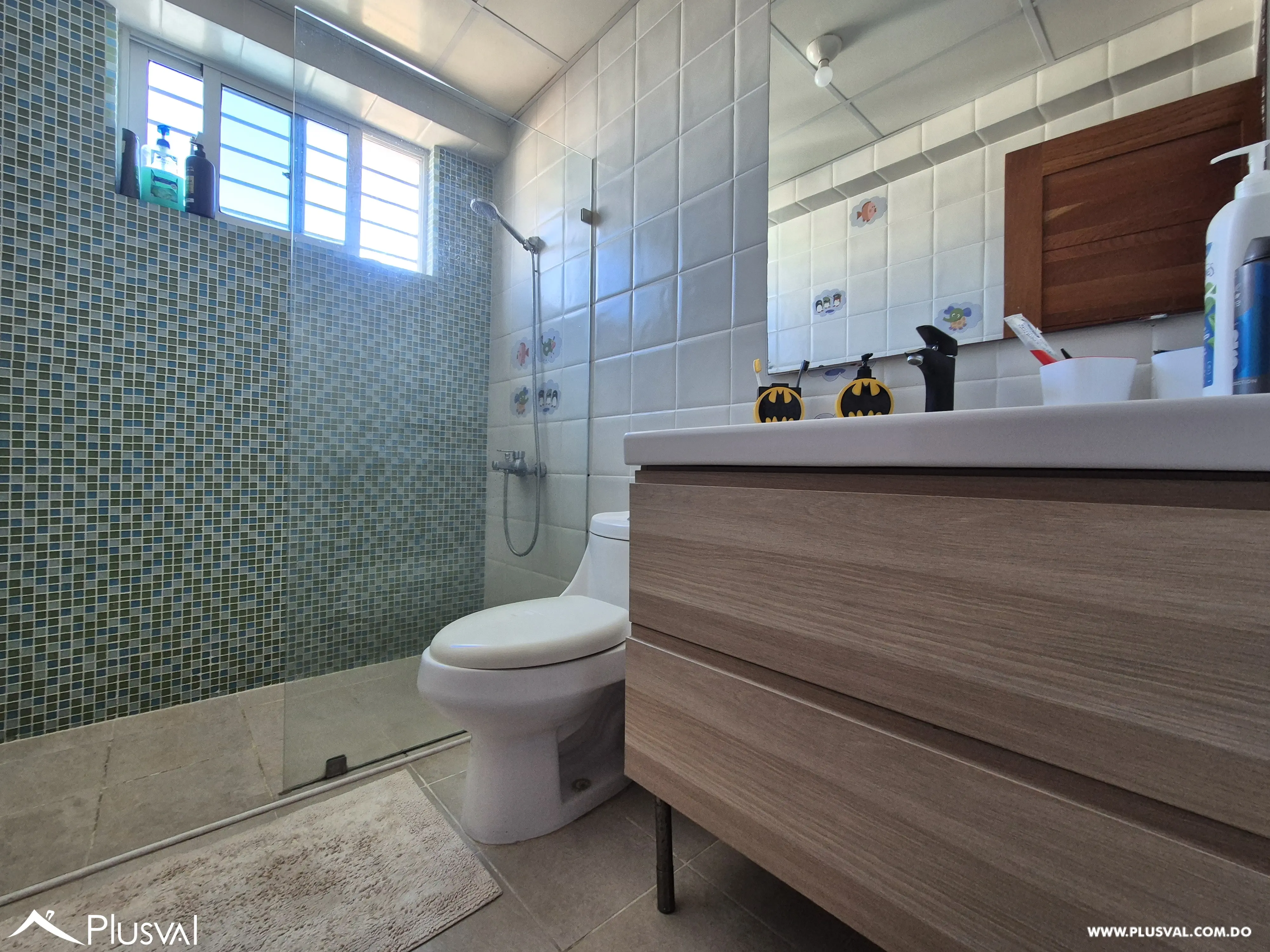 Apartamento tipo Penthouse en venta en Mirador Norte 512395