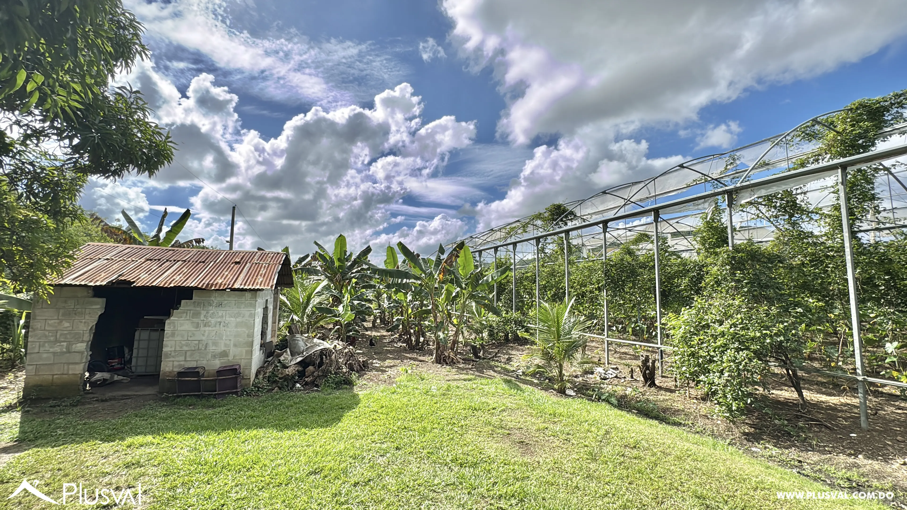 Vendo Maravillosa Finca con Importantes Mejoras en Pedro barnd 479763