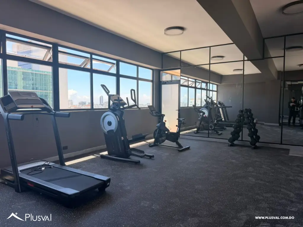 Apartamento con linea blanca en alquiler en Piantini 535753