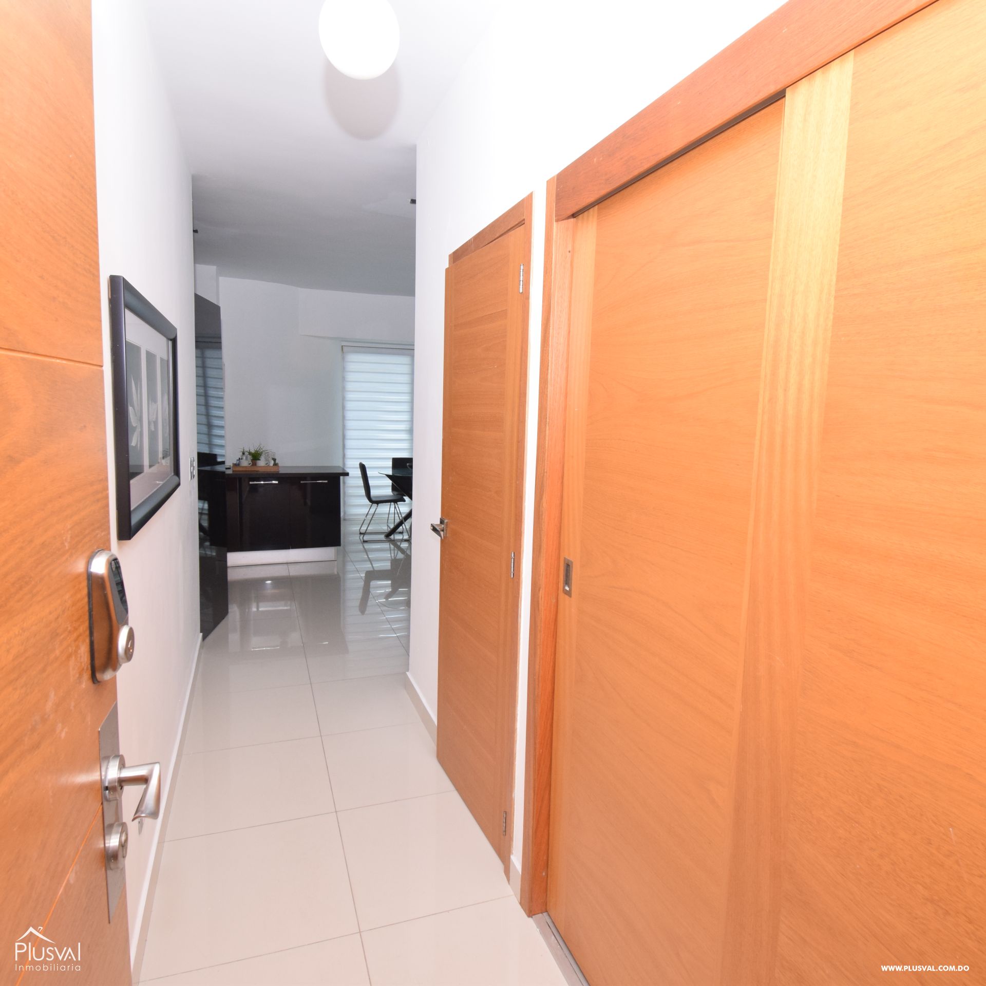 Apartamento en alquiler amueblado en Piantini 395987