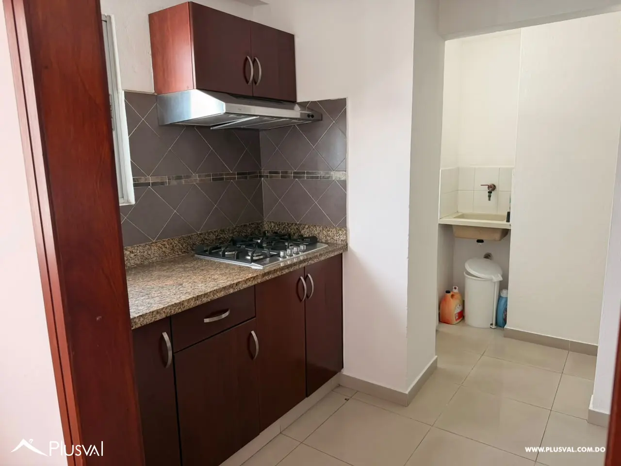Apartamento en alquiler en Naco 521374