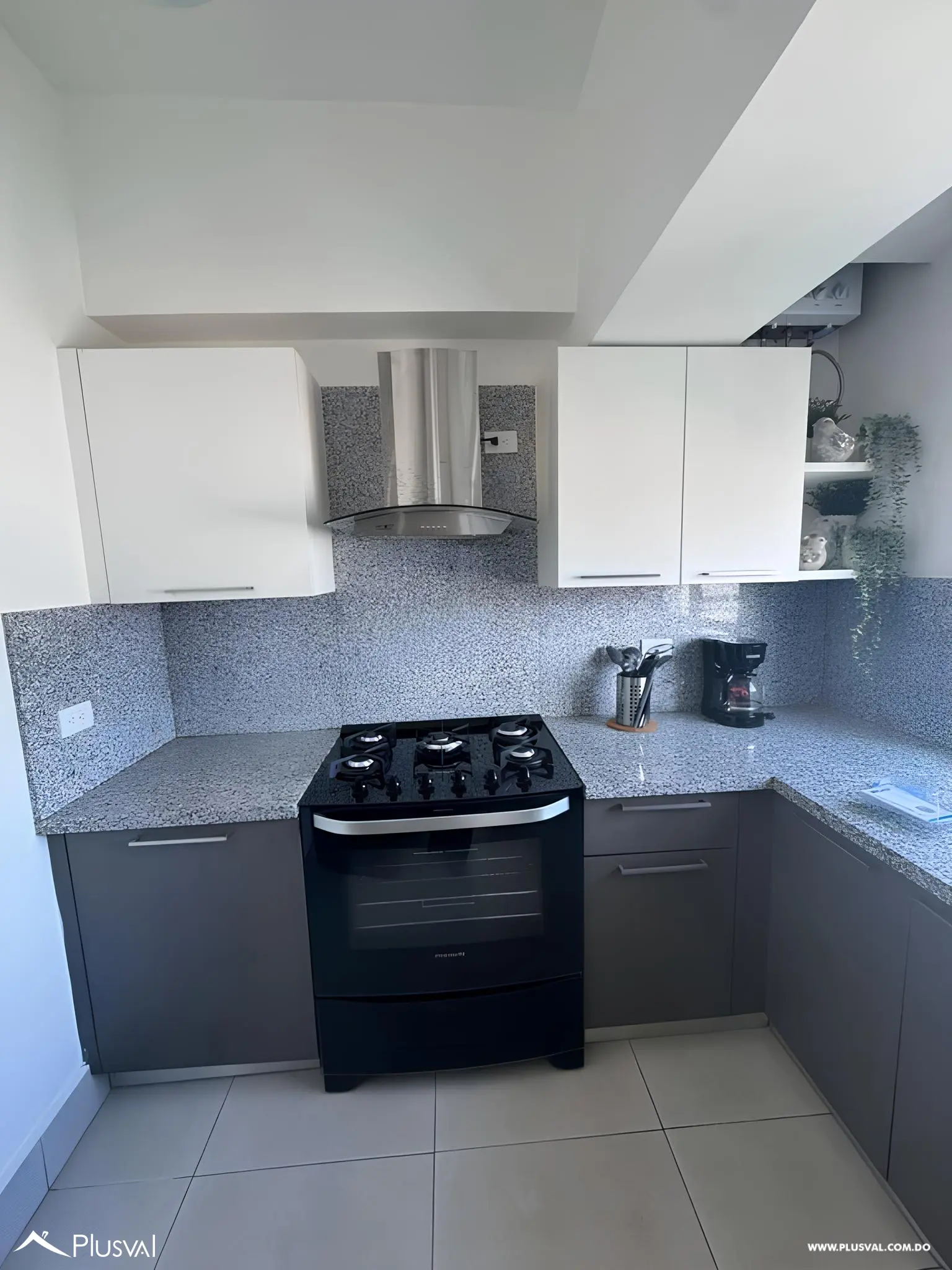 Alquiler apartamento amueblado 2 habitaciones en Ens. Piantini 491537