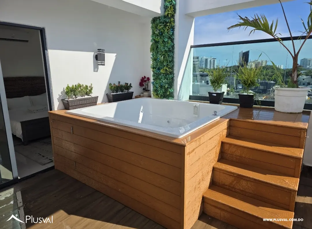 2 Apartamentos juntos pero separados, tipo Penthouse. nivel cuarto y nivel 5 520356