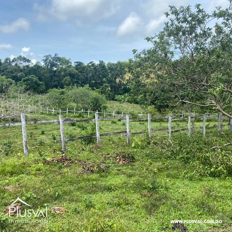 Terreno en Venta en Las Terrenas - Samaná | 190,930 m² Naturaleza y Altitud 313402