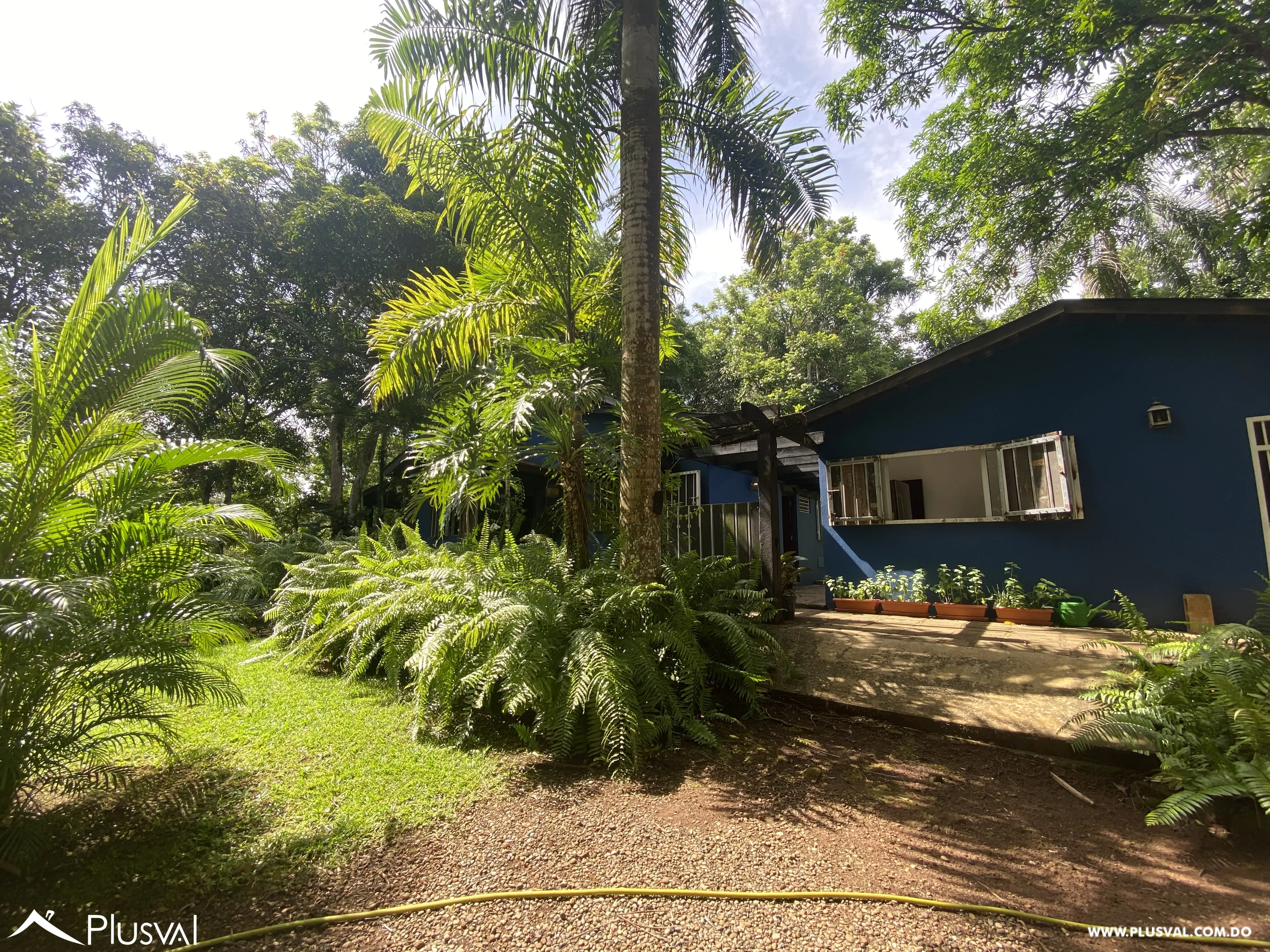 Finca de 106 tareas en Venta, Los Cocos | Pedro Brand 452060