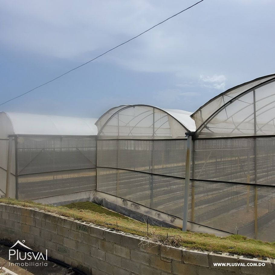 Proyecto de invernadero en venta, San josé de ocoa 221115