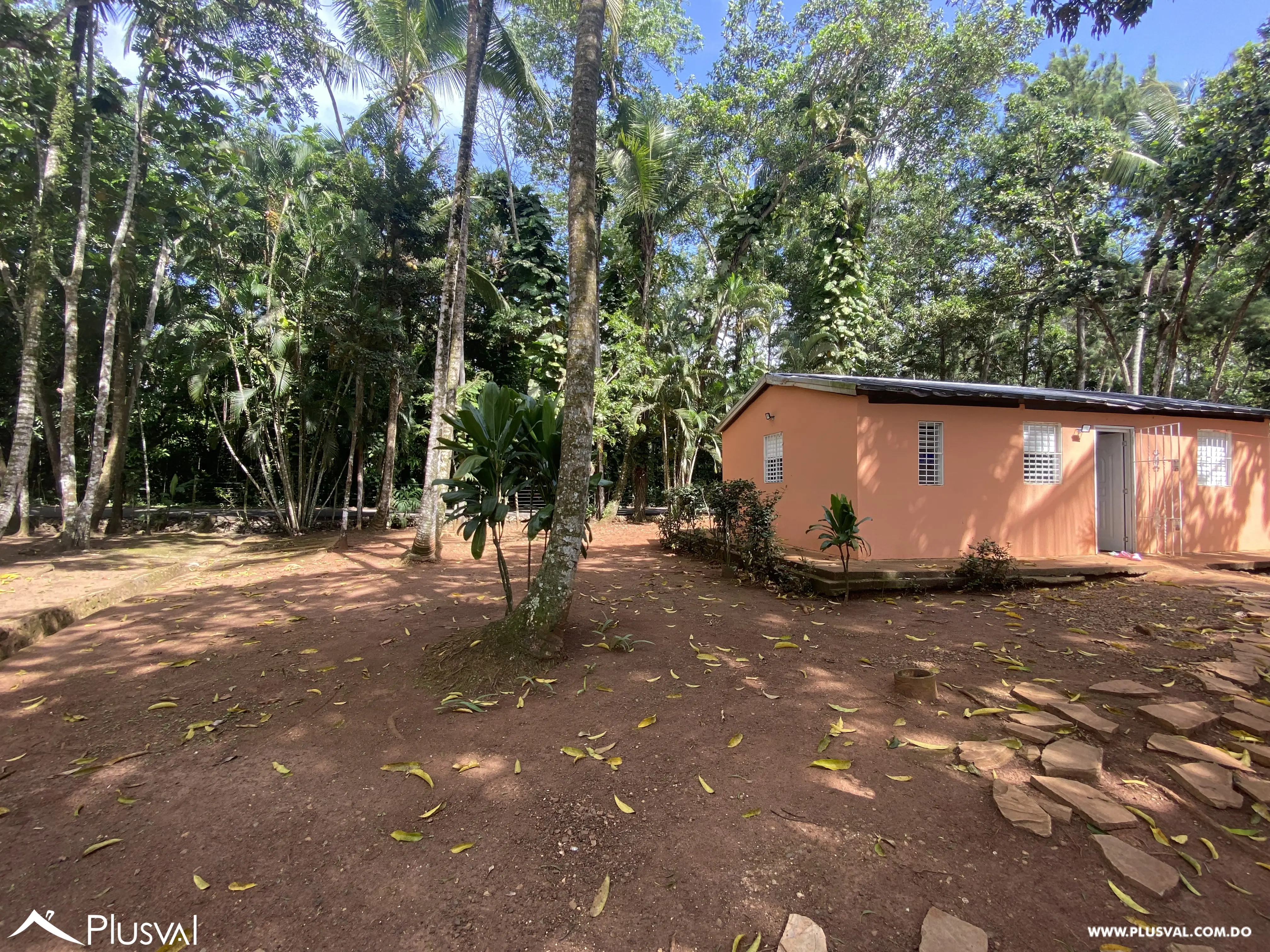 Finca de 106 tareas en Venta, Los Cocos | Pedro Brand 452064