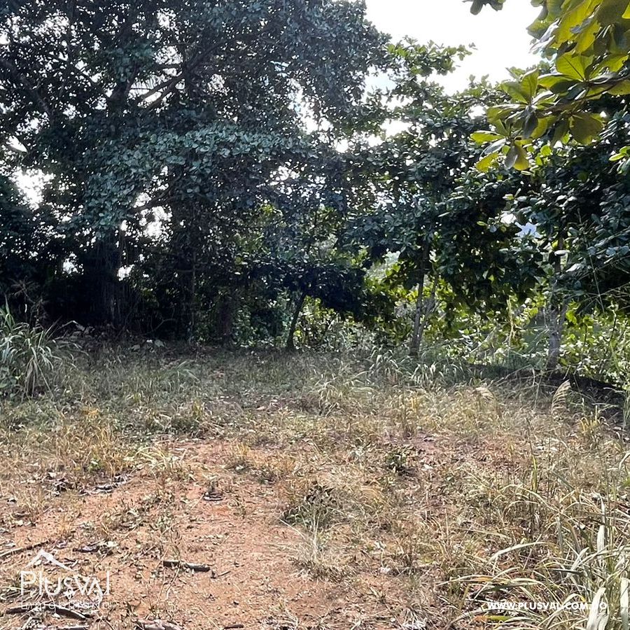Vendo solar con impresionante vista en Jarabacoa. 335906